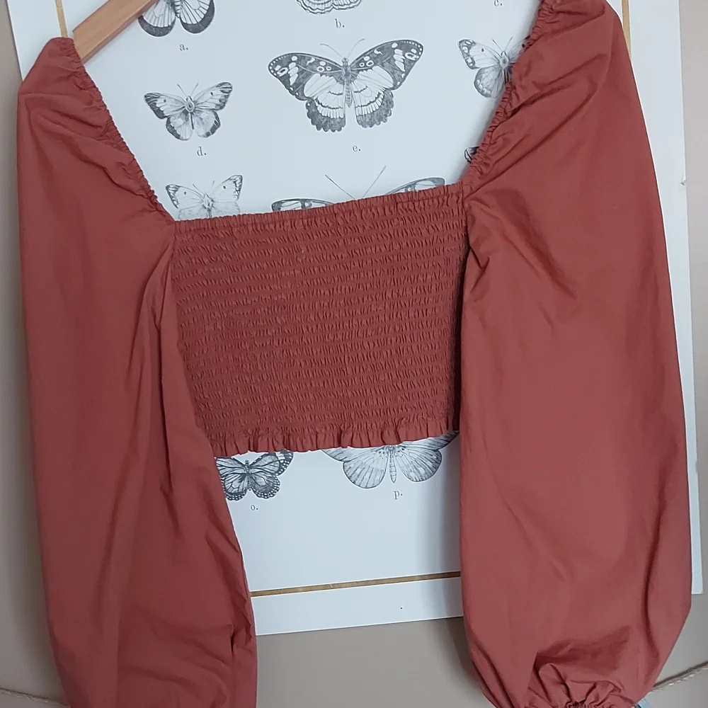 Wilfred Terracotta Crop Top - Picture 4 of 7